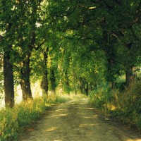 /album/expedice-az-as-99/xxa-jpg/